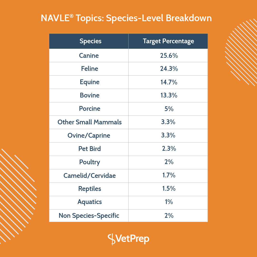 What’s Covered on the NAVLE®?